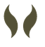 Cradl